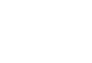 $10.00